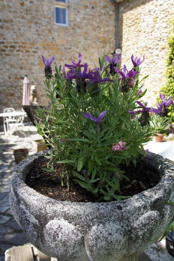 Maison Du Manoir Vallon-Pont-dʼArc 외부 사진
